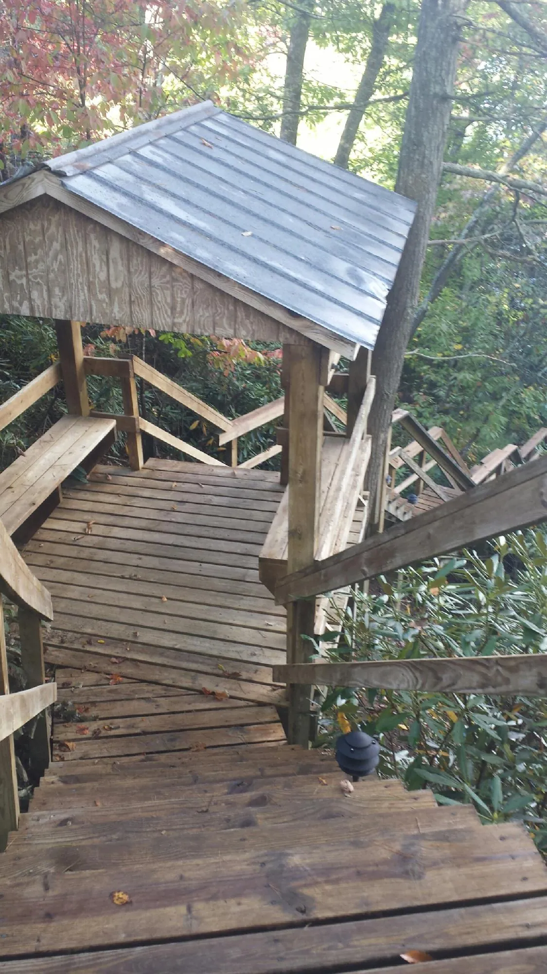 Metal roofed shelter over wooden steps on a wooded walkway — Skylight Repair & Installation work by our crew in Eidson